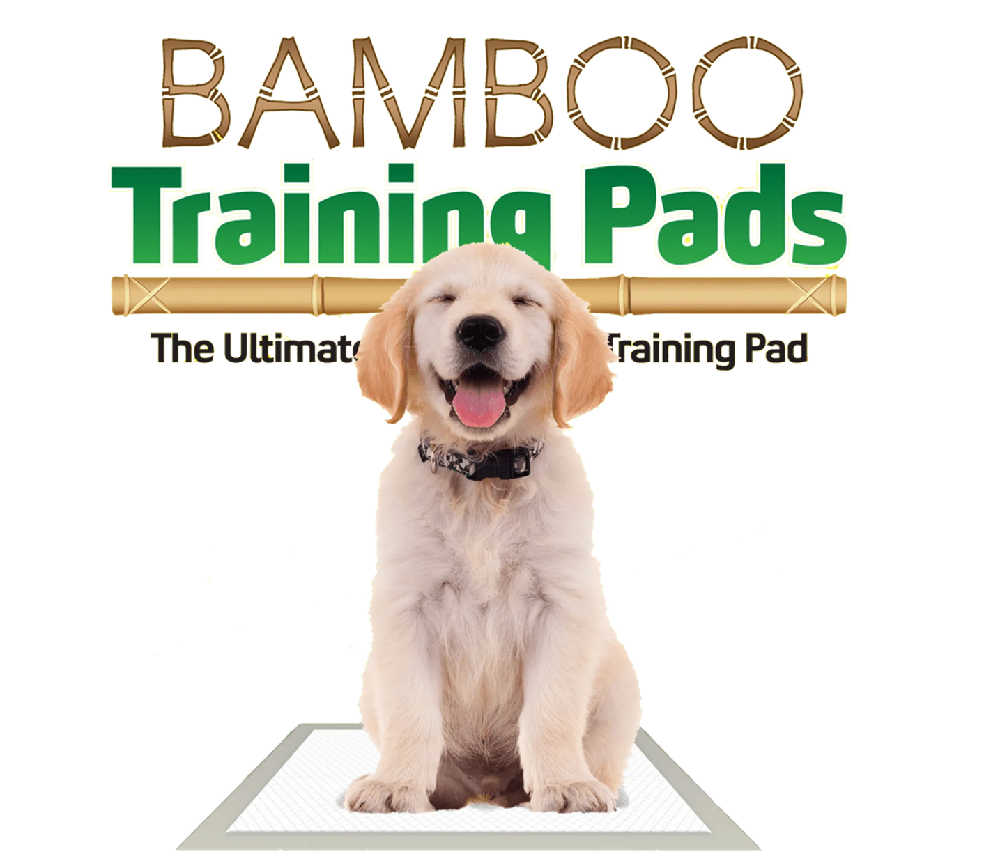 Bamboo Charcoal Training Pads - Odor Control House Training Pads