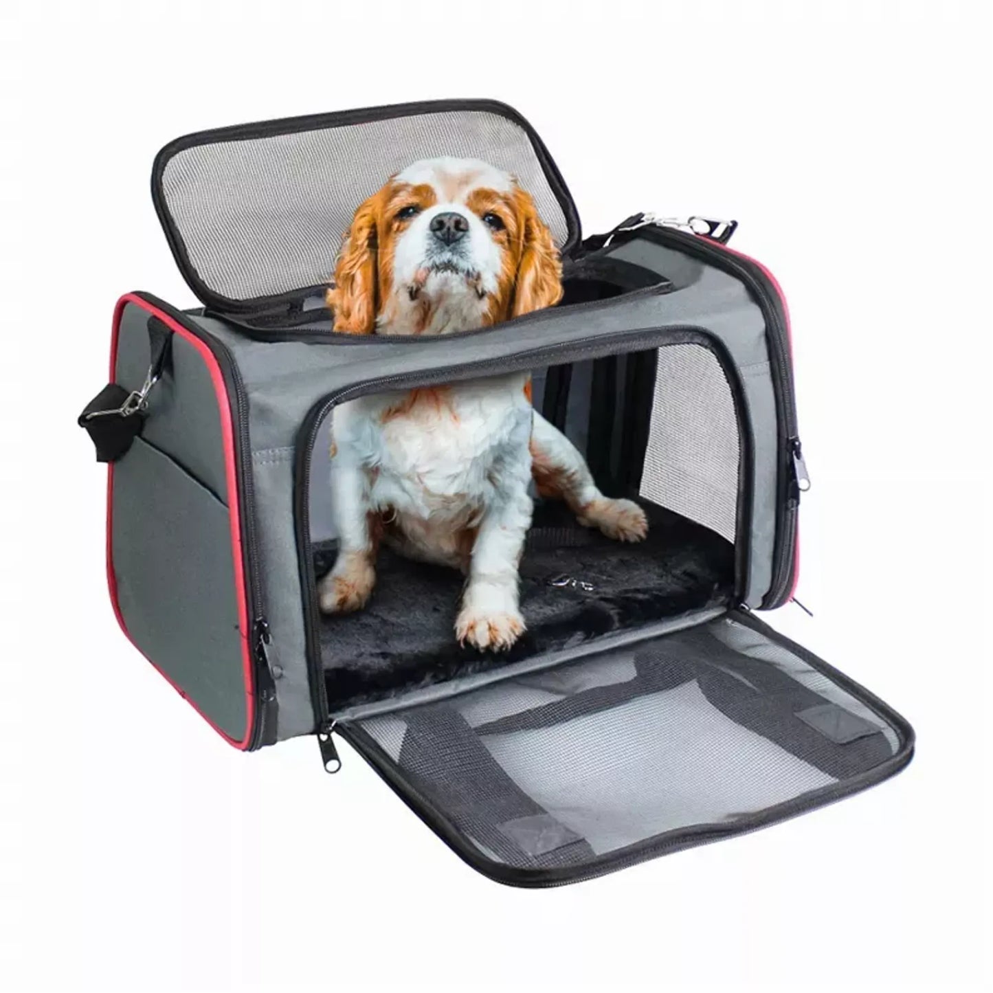 Soft-Sided Kennel Pet Carrier - Airline Approved and Collapsible