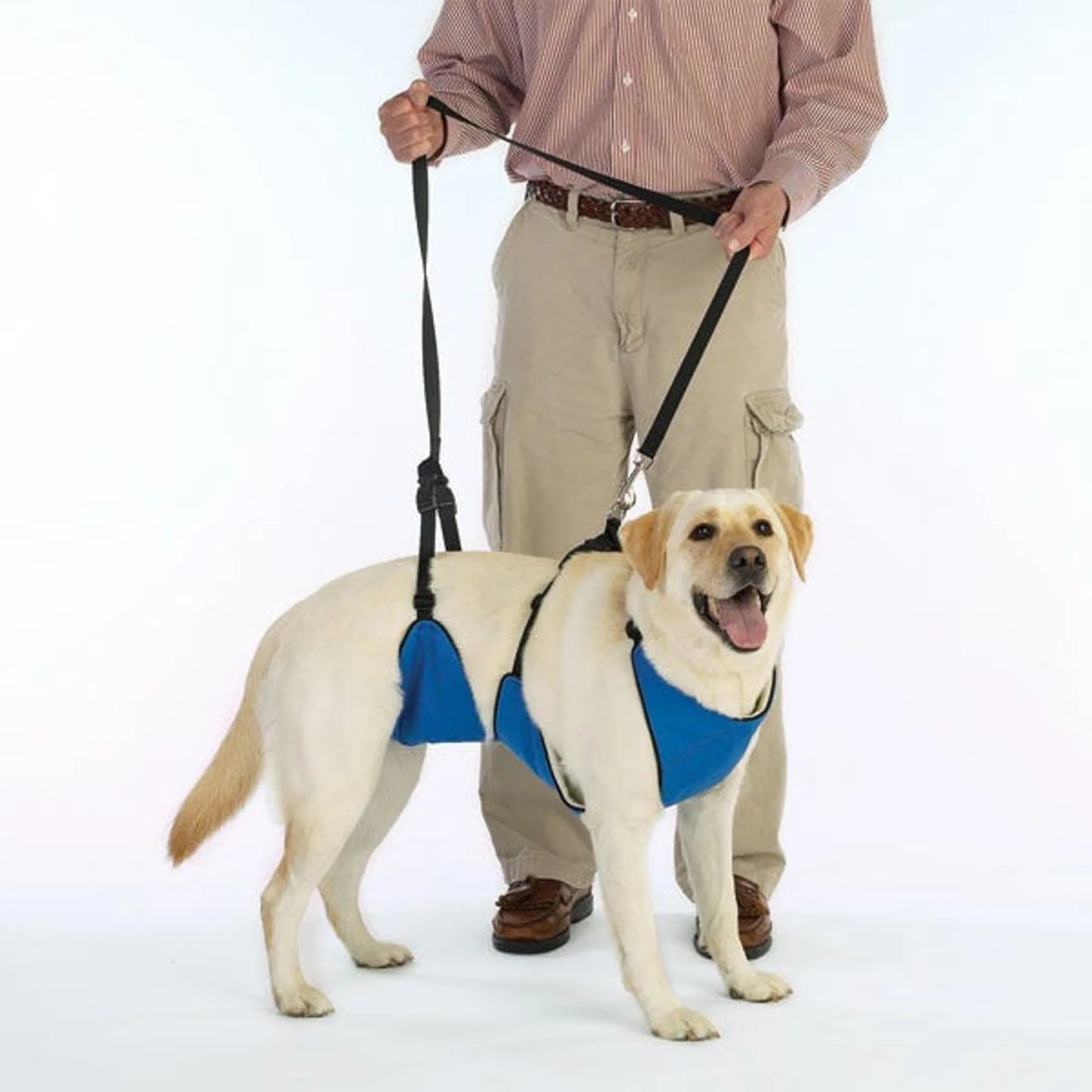 GG Lift & Lead 4in1: Supportive Pet Harness for Easy Mobility