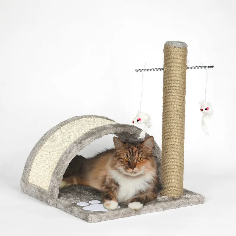 Master Tools Paw Bridge & Scratcher Pole - Promote Healthy Play