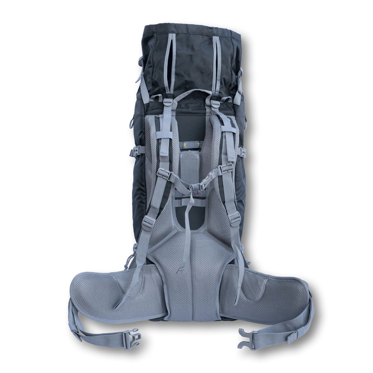 Kolossus | Big Dog Carrier & Backpacking Pack - Myrtle Green - Comfort on the Go