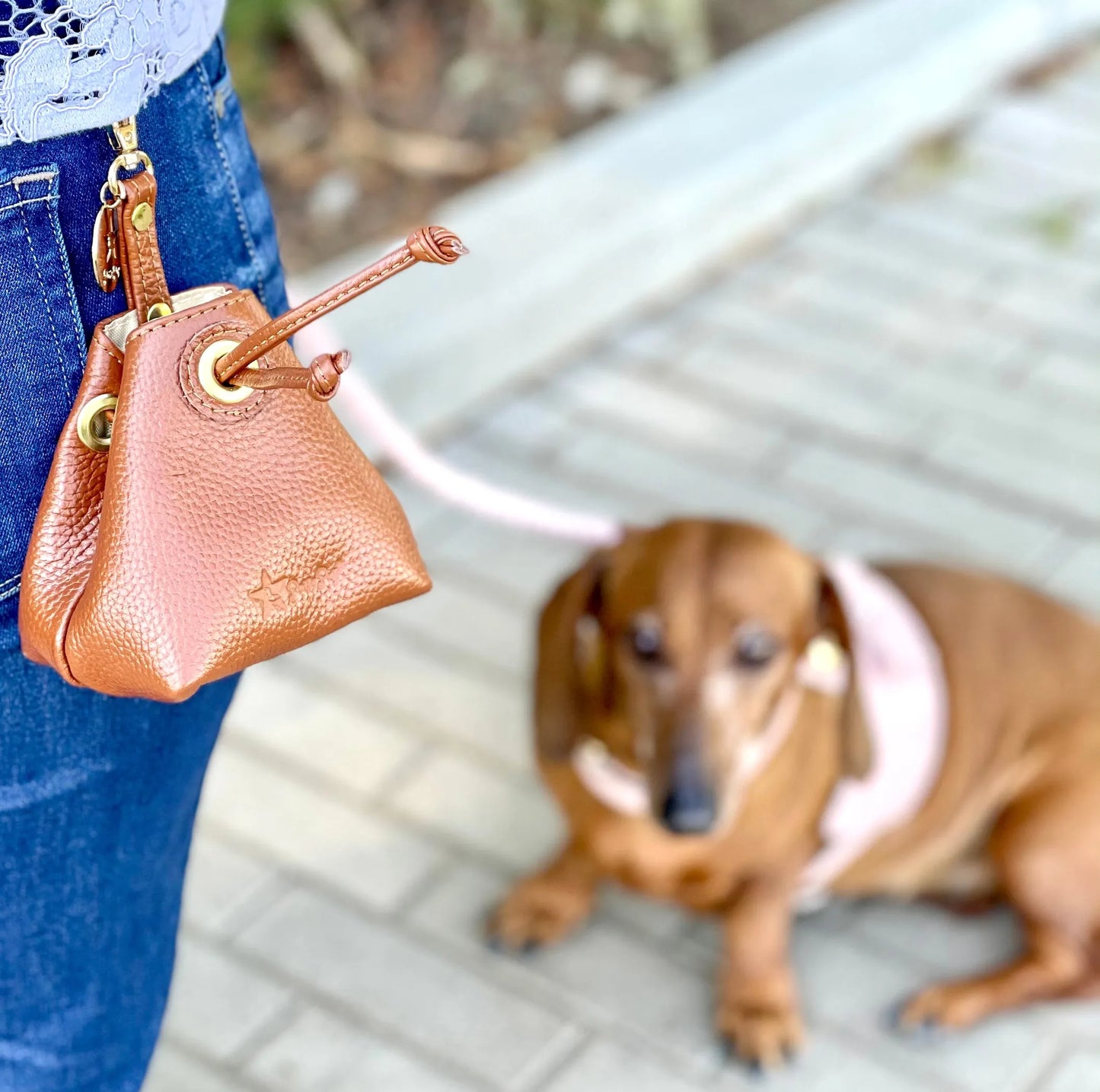 Bella Rose Treat Bag - Handmade Leather Pet Accessory