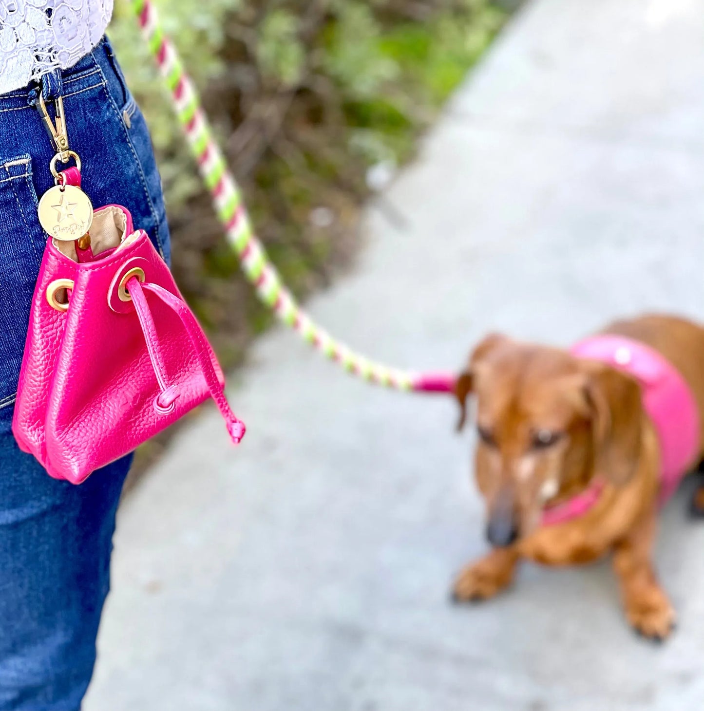 Bella Rose Treat Bag - Handmade Leather Pet Accessory