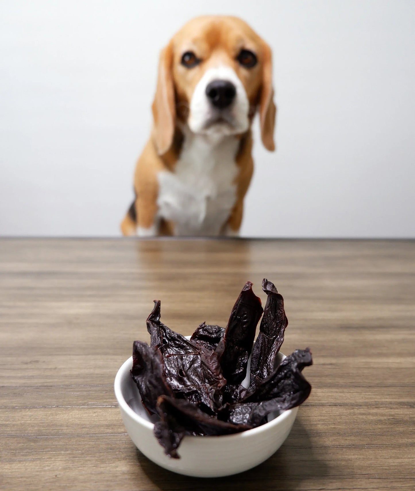 Natural Pasteurized Pork Liver Chips Dog Treats