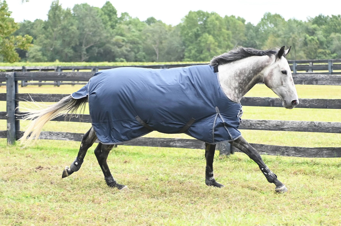 Gatsby 600D Lightweight 100gm Waterproof Turnout Blanket