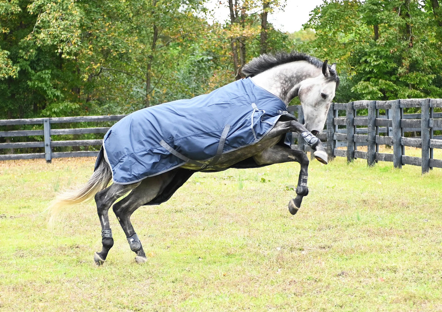 Gatsby 600D Lightweight 100gm Waterproof Turnout Blanket