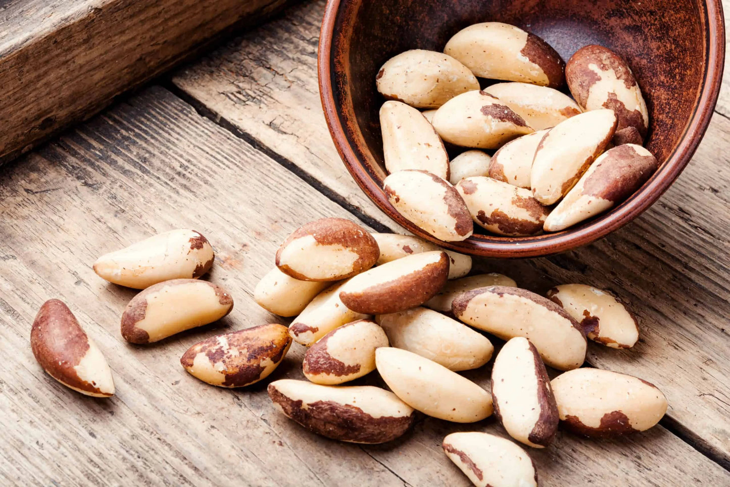 Brazil Nut Powder - Skin, Coat & Weight Gain Support for Pets