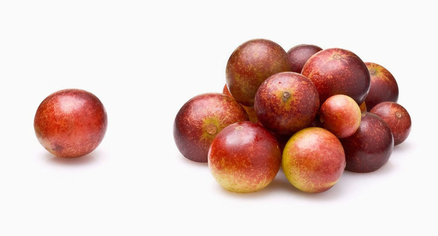 Camu Camu Extract - Joint, Teeth & Eye Support for Pets