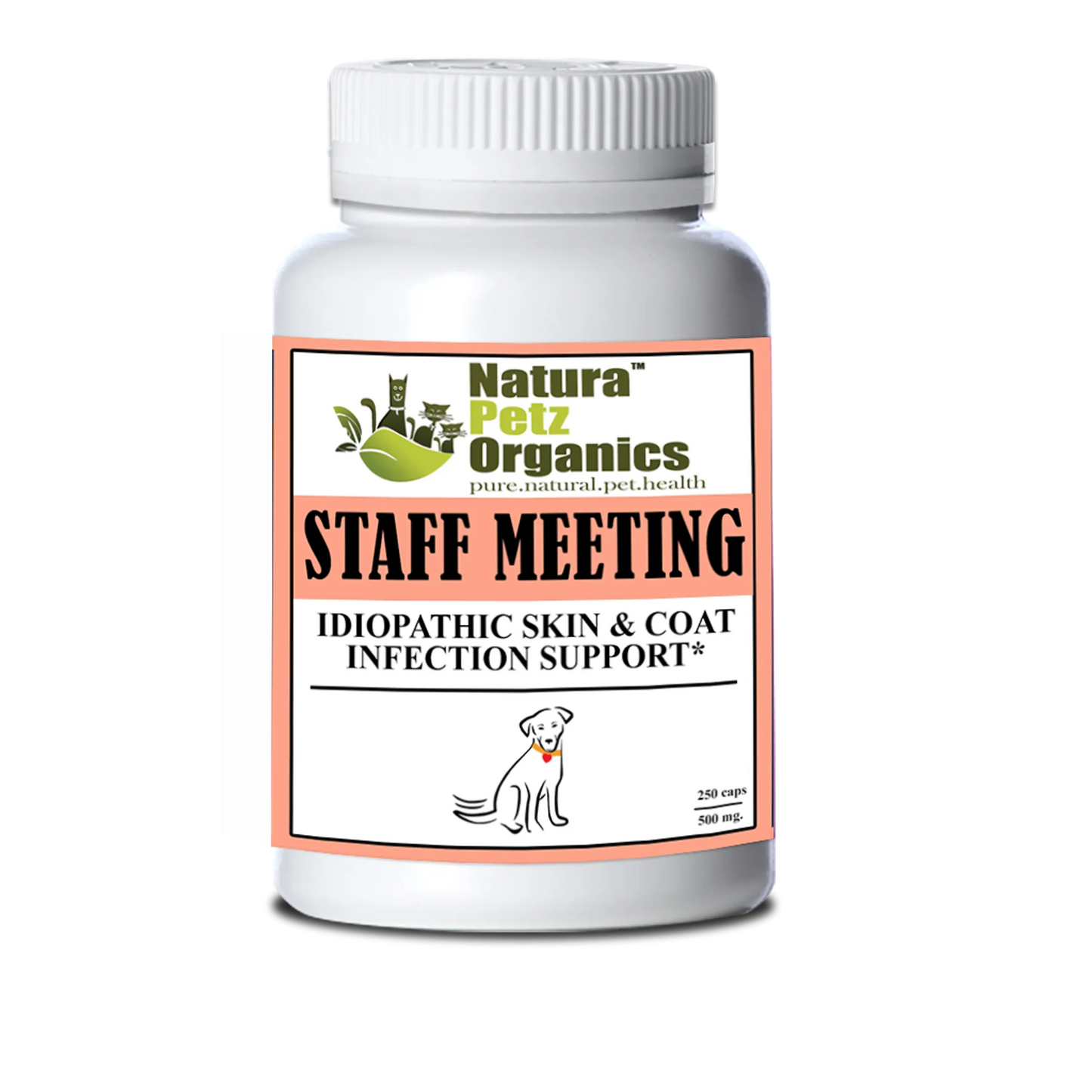 Staff Meeting - Idiopathic Skin & Coat Infection Support for Dogs & Cats