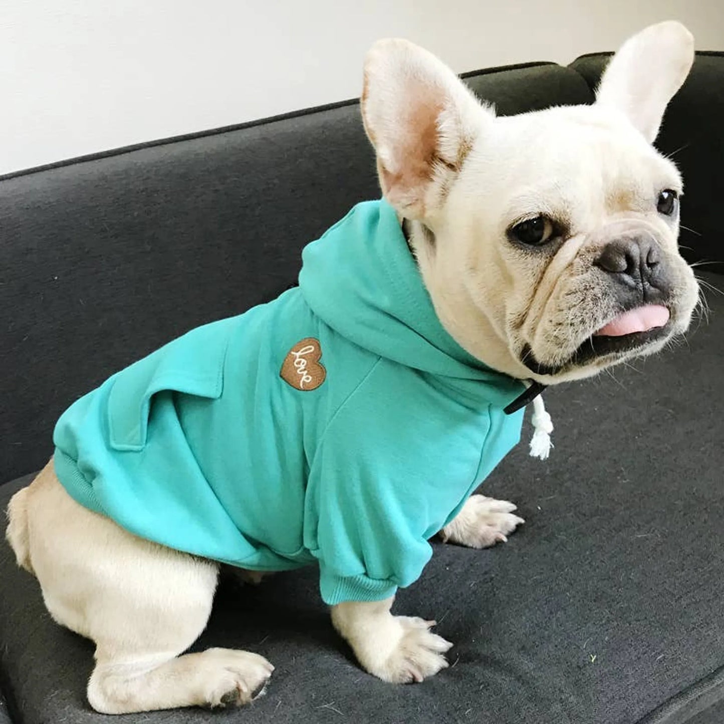 Cozy Heart Print Matching Pet and Owner Hoodie Set - Small, Blue
