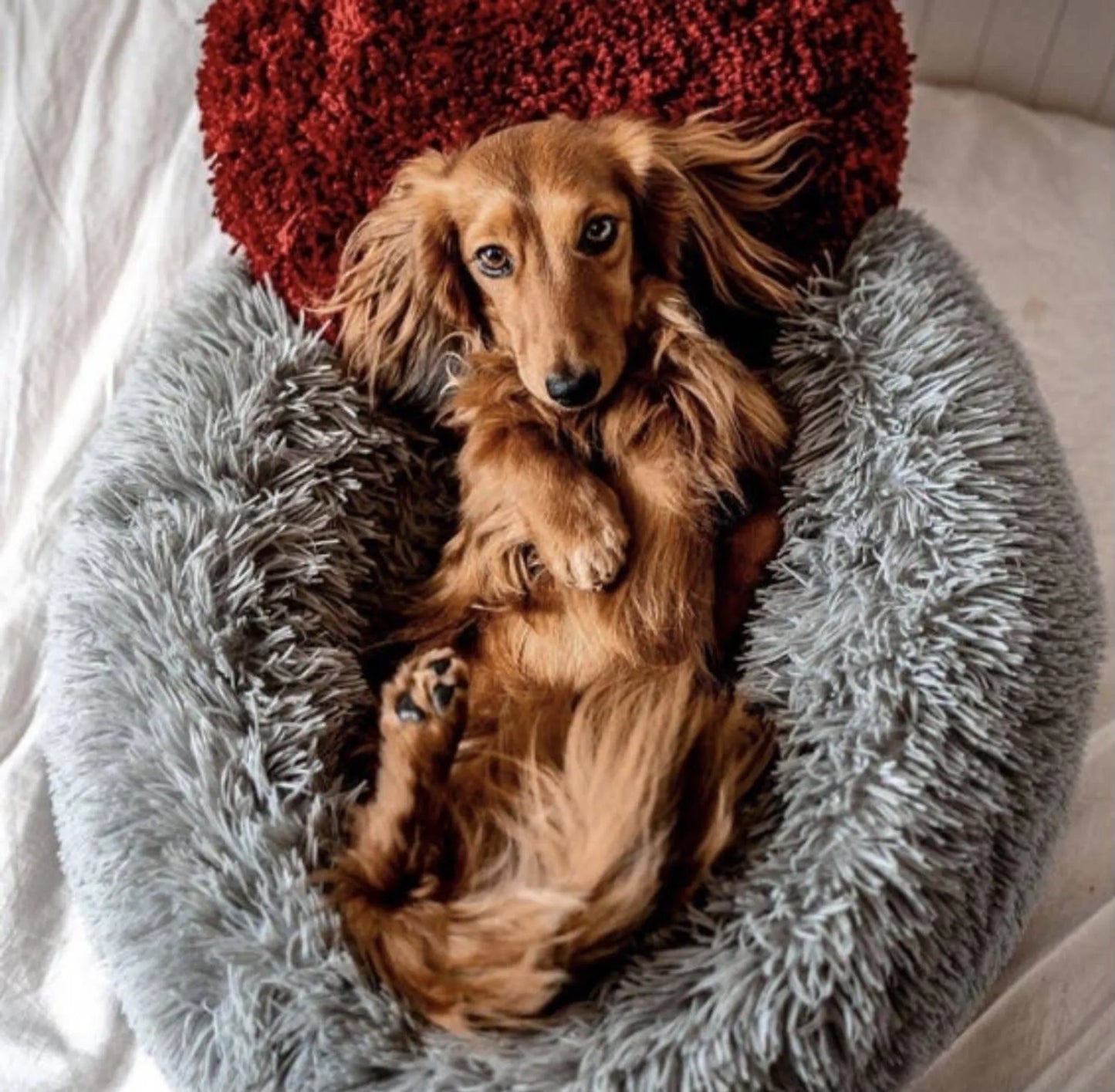 Super Soft Marshmallow Pets Bed