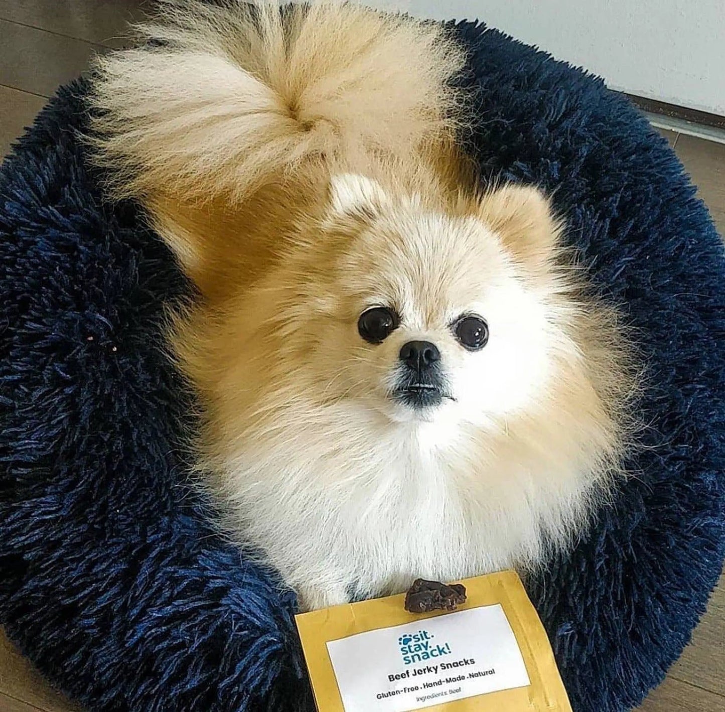 Super Soft Marshmallow Pets Bed