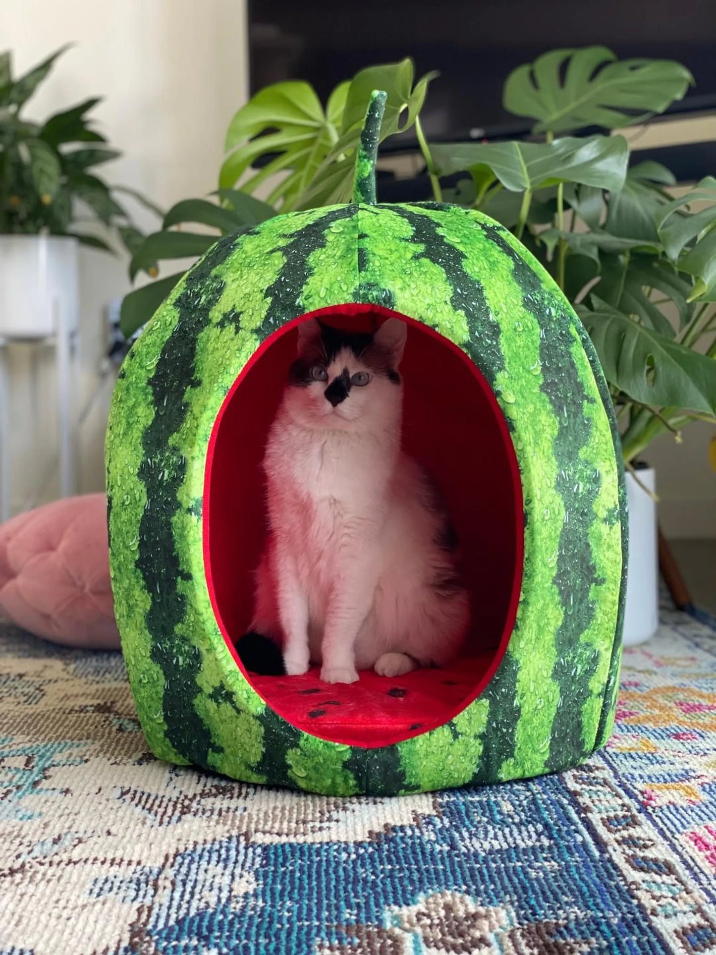 YML Watermelon Pet Bed House, One Size Fits All