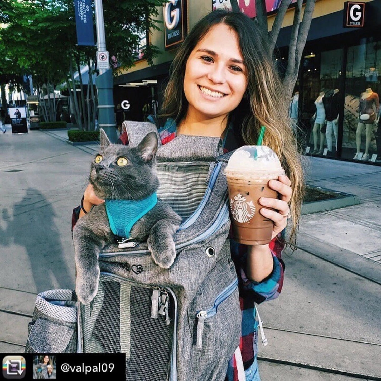 Mr. Peanut's Vancouver Series - Versatile Backpack Pet Carrier