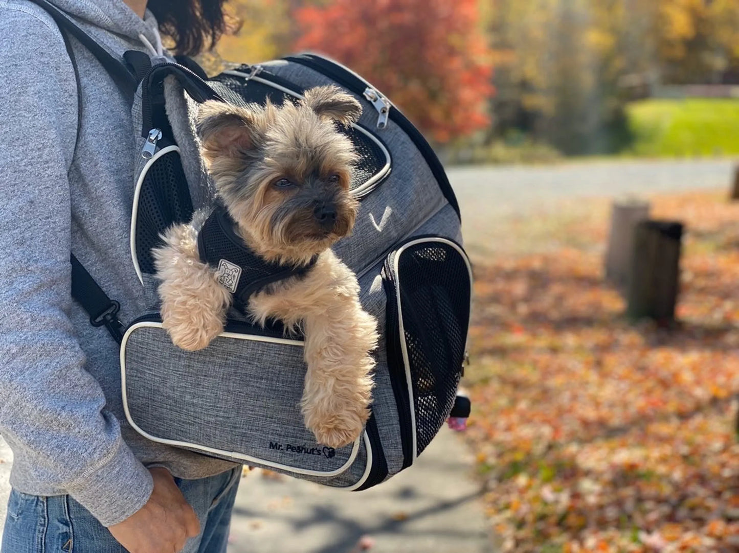 Mr. Peanut's Malibu Series - Backpack Pet Carrier Stroller with Detachable Wheelbase