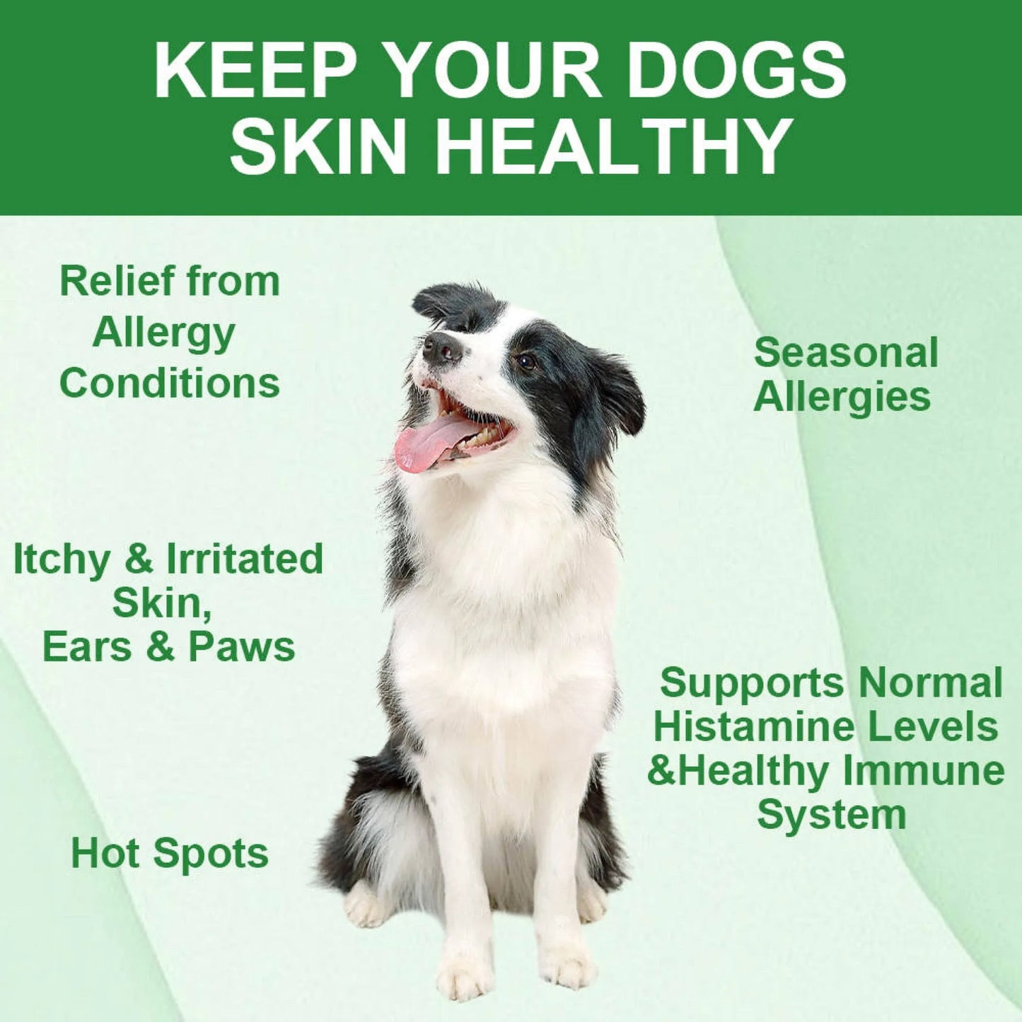 Puppy Community Allergy Chews - Immune Boosting Formula for Dogs
