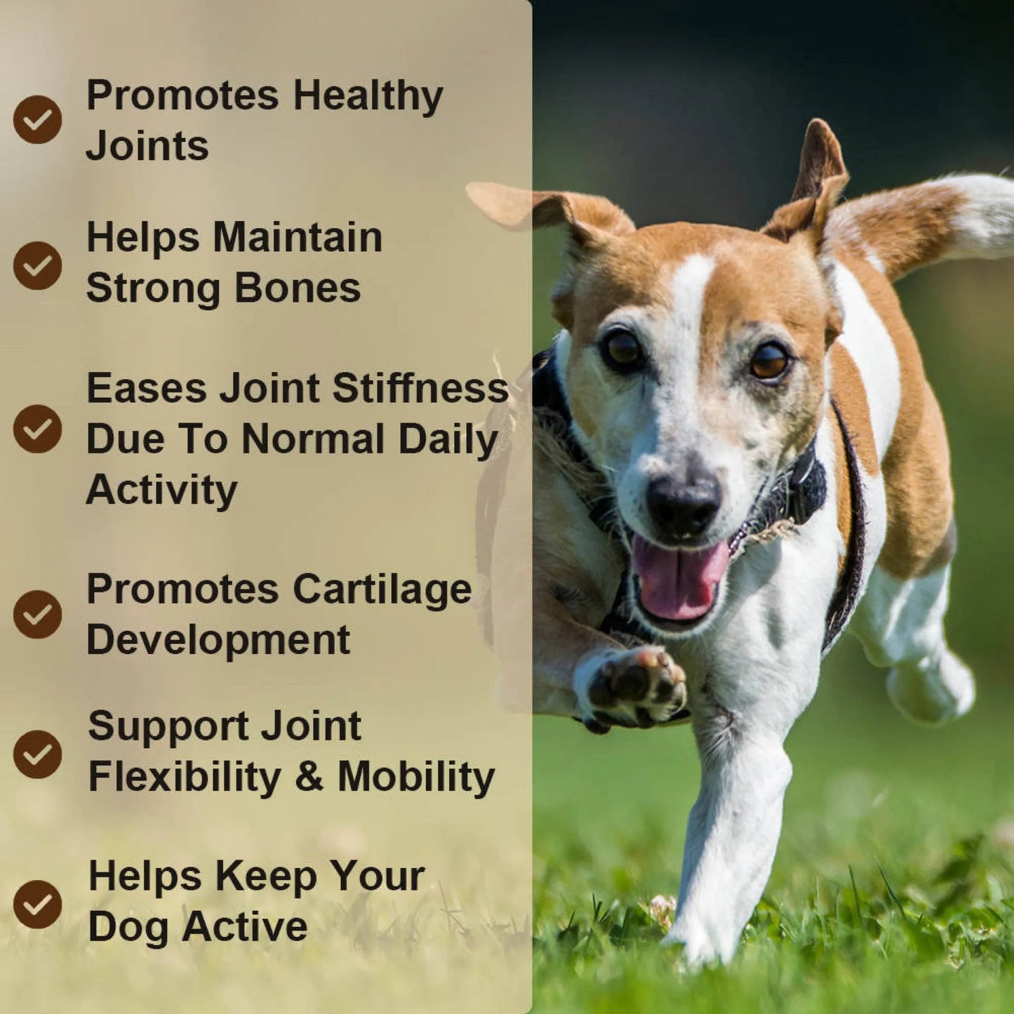 Puppy Community Hip and Joint Chews - Comprehensive Dog Joint Health Support