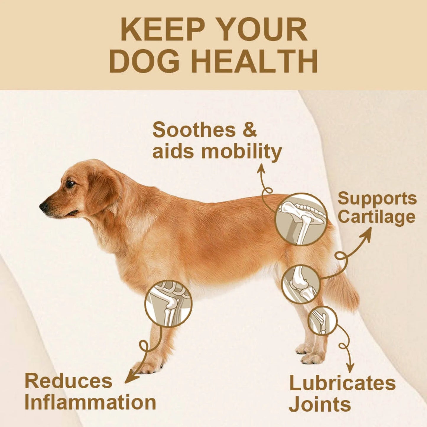 Puppy Community Hip and Joint Chews - Comprehensive Dog Joint Health Support