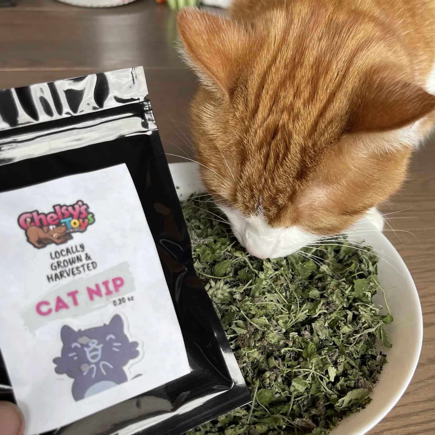Cat Bundle - Top 3 Cat Products for Unbeatable Value