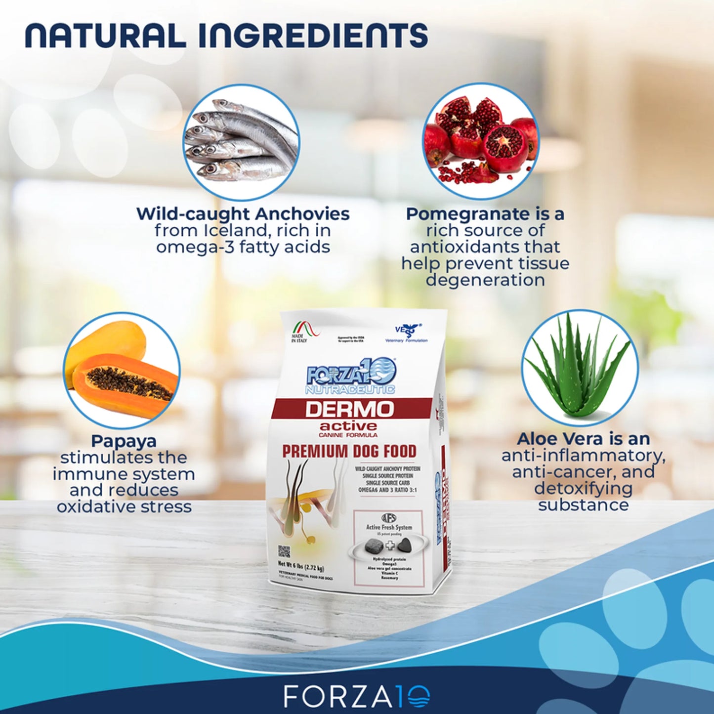 Forza10 Active Dermo Dry Dog Food - Skin and Coat Health Formula