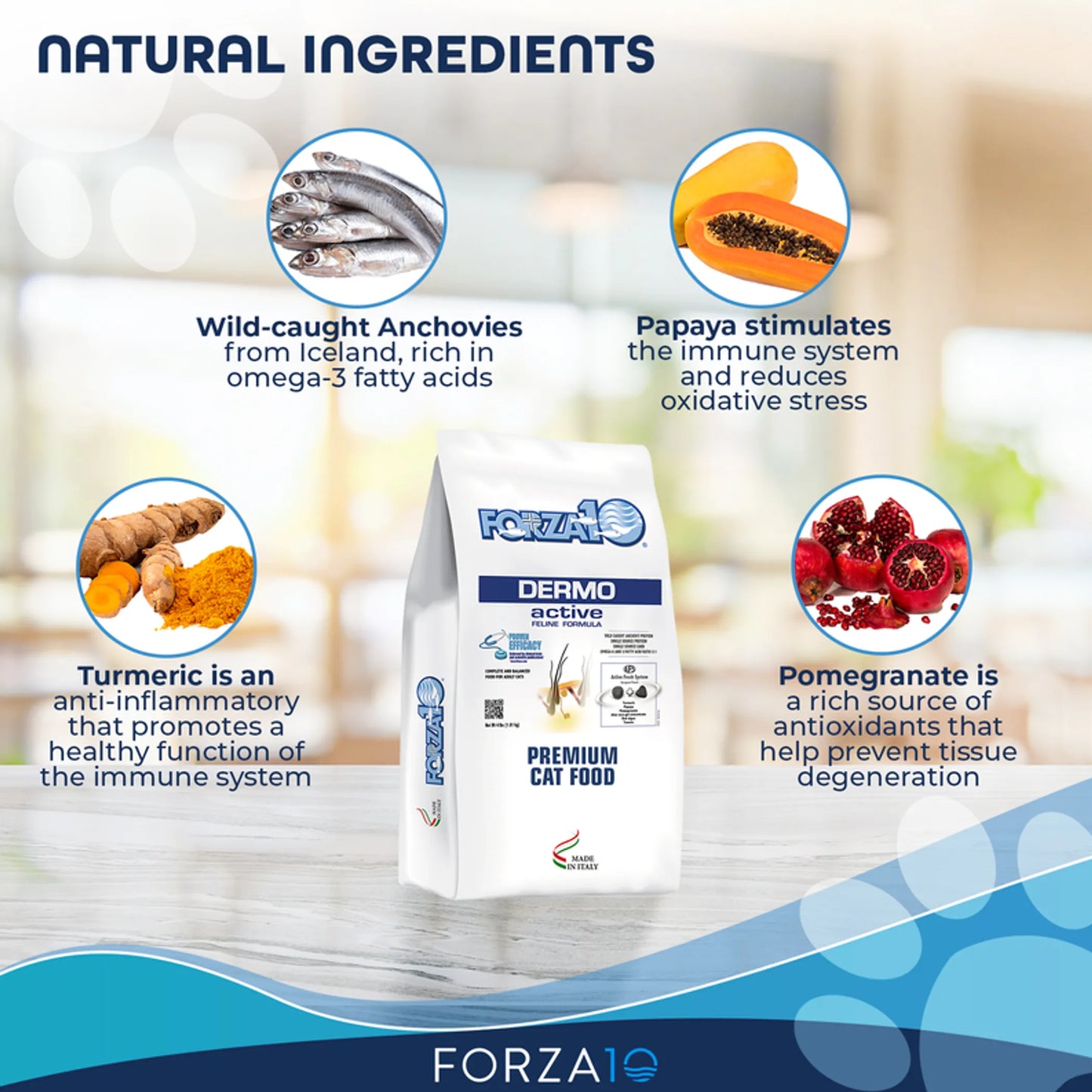 Forza10 Active Dermo Dry Cat Food - Omega-3 Enriched for Skin & Coat Health