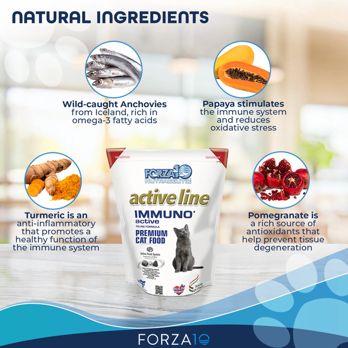 Forza10 Active Immuno Support Diet Dry Cat Food - Enhances Immunity & Metabolic Health