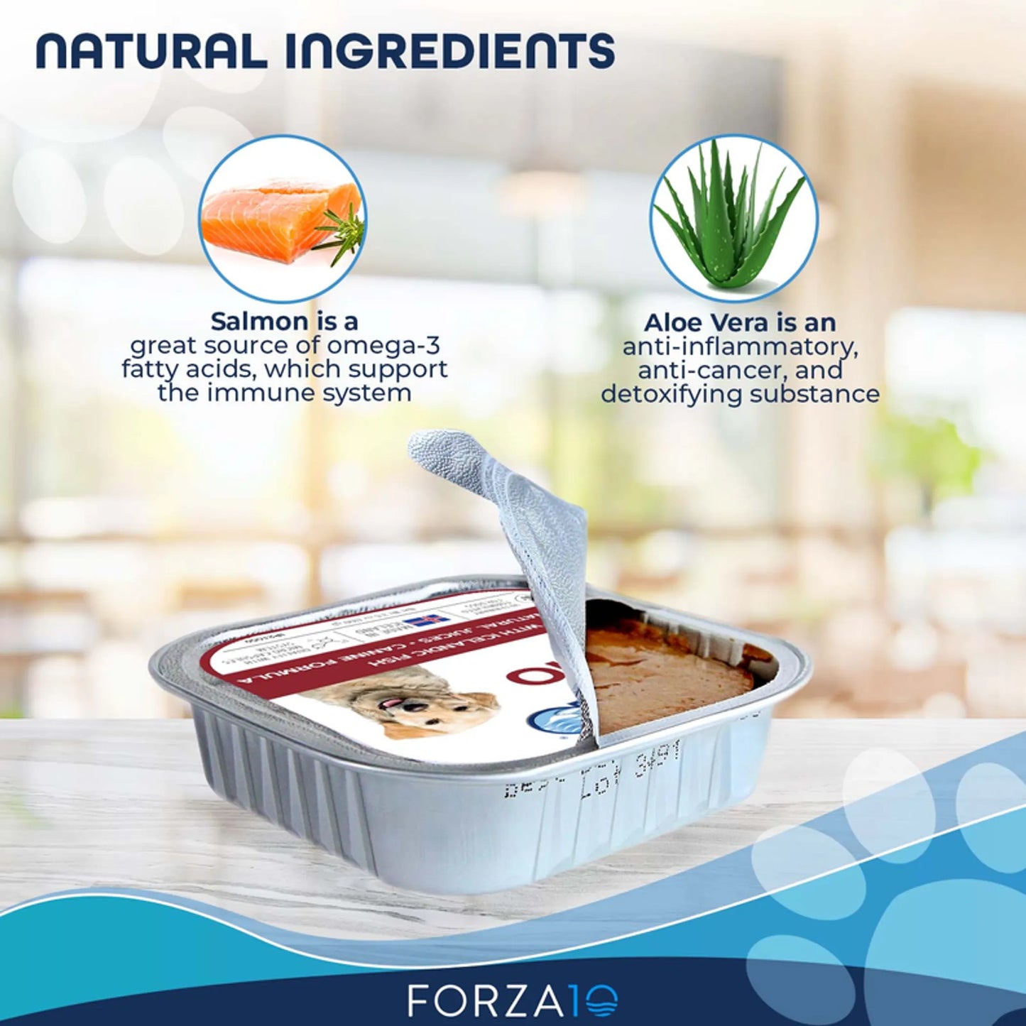 Forza10 ActiWet Dermo Icelandic Fish Recipe Canned Dog Food - Supports Skin & Coat Health