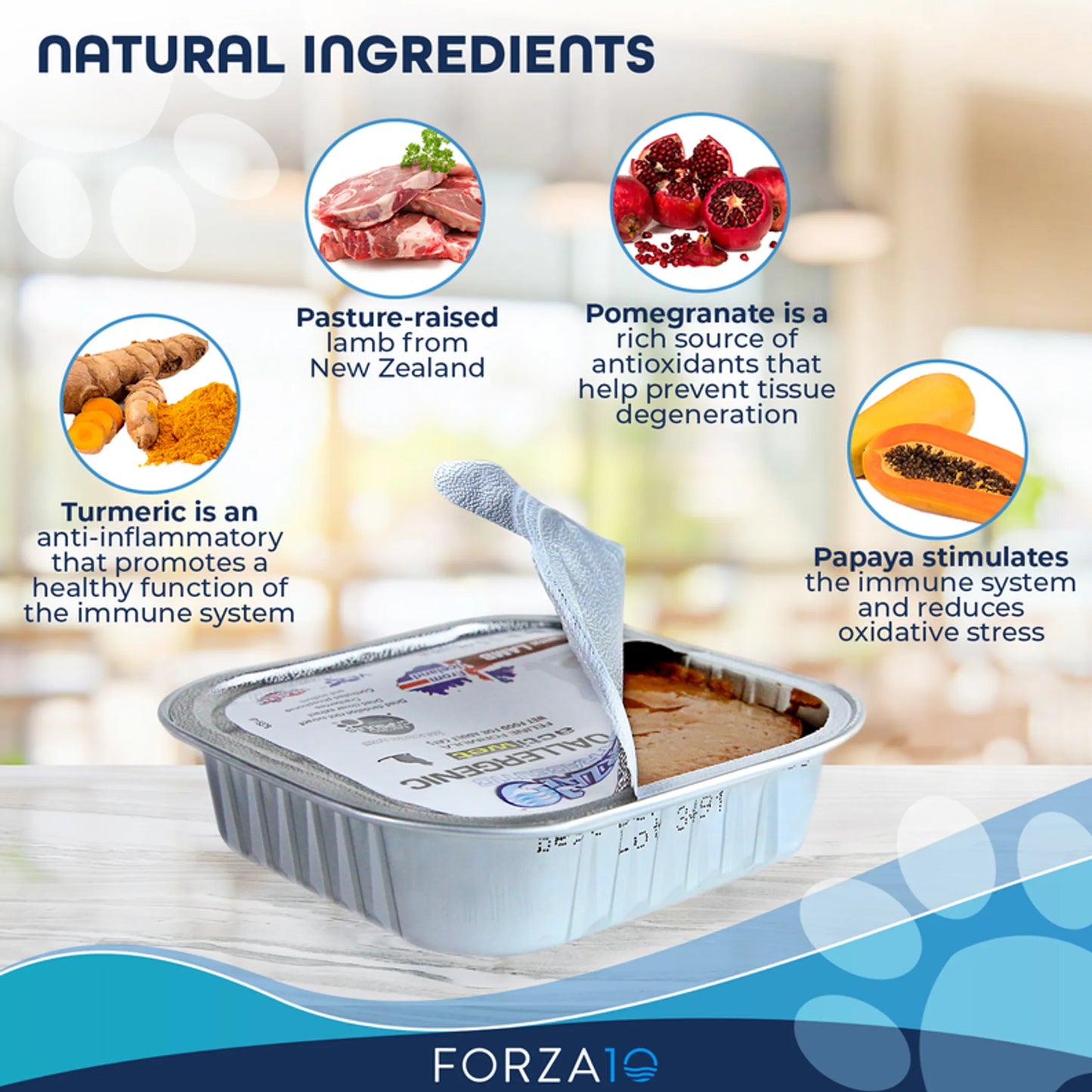 Forza10 Actiwet Hypoallergenic Canned Cat Food - Promotes Overall Health & Wellness