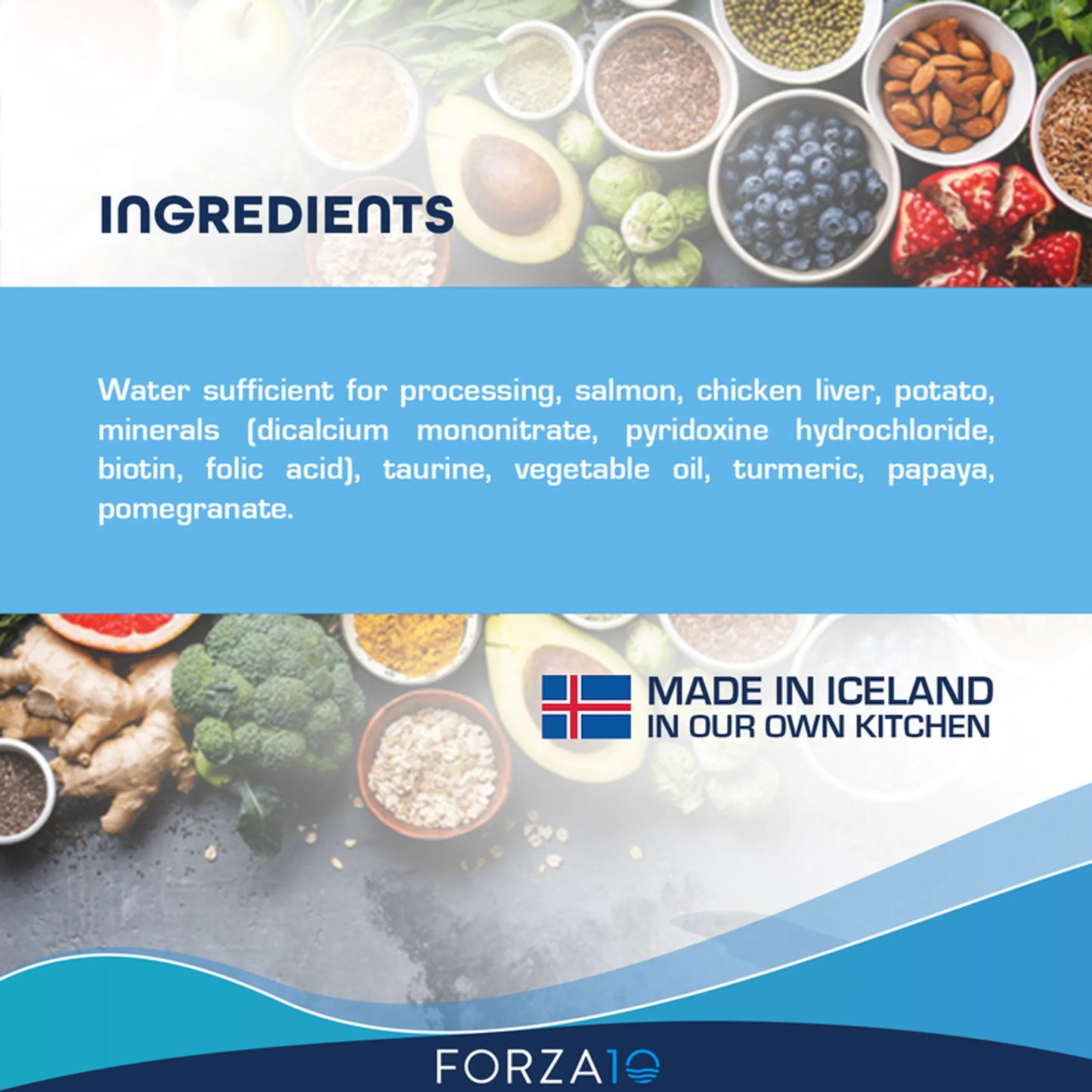 Forza10 ActiWet Dermo Support Icelandic Fish Recipe Canned Cat Food - Supports Skin & Coat Health