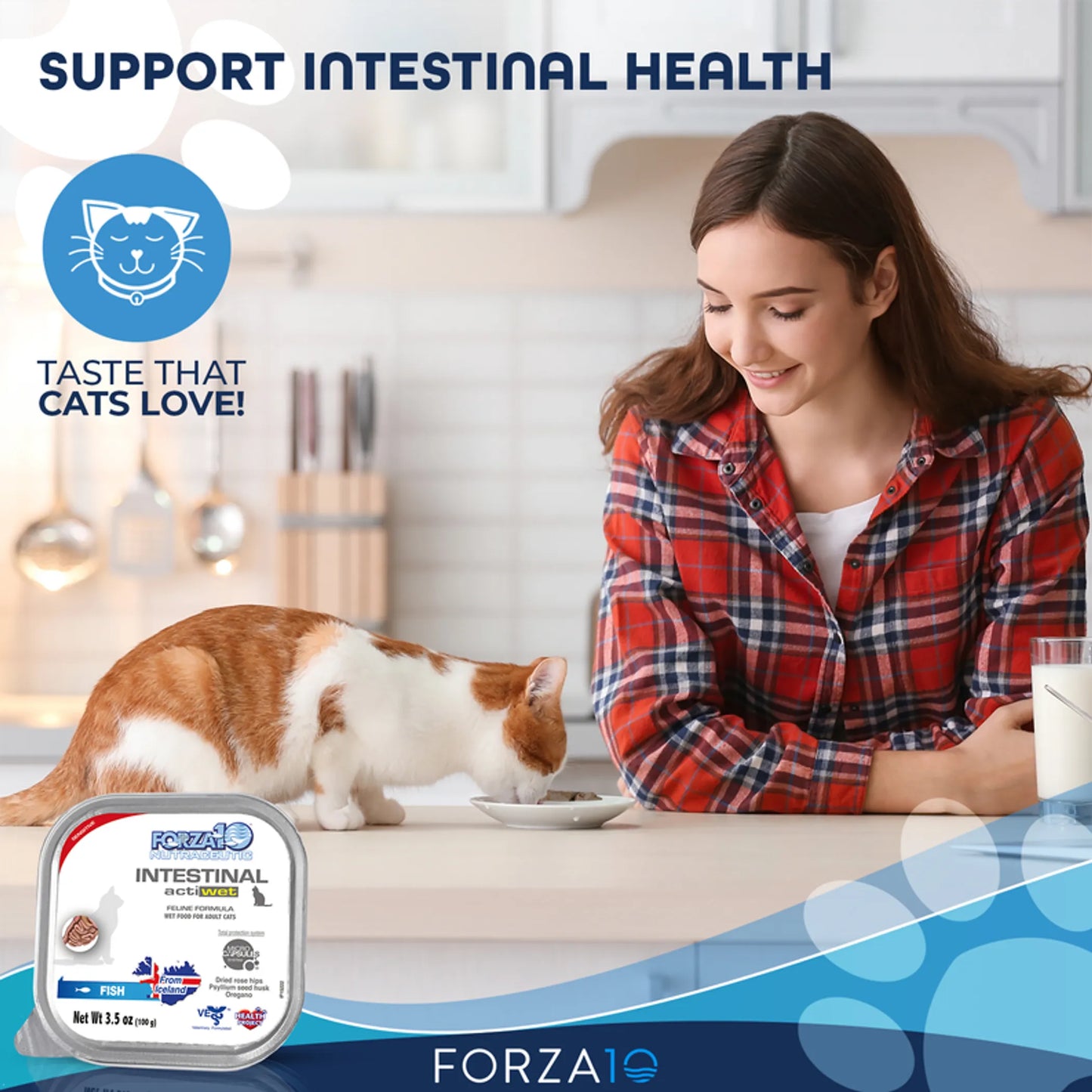 Forza10 Actiwet Intestinal Support Icelandic Fish Recipe Canned Cat Food - Boosts Gastrointestinal Health