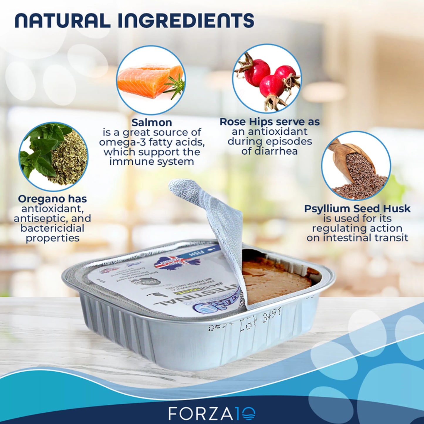 Forza10 Actiwet Intestinal Support Icelandic Fish Recipe Canned Cat Food - Boosts Gastrointestinal Health