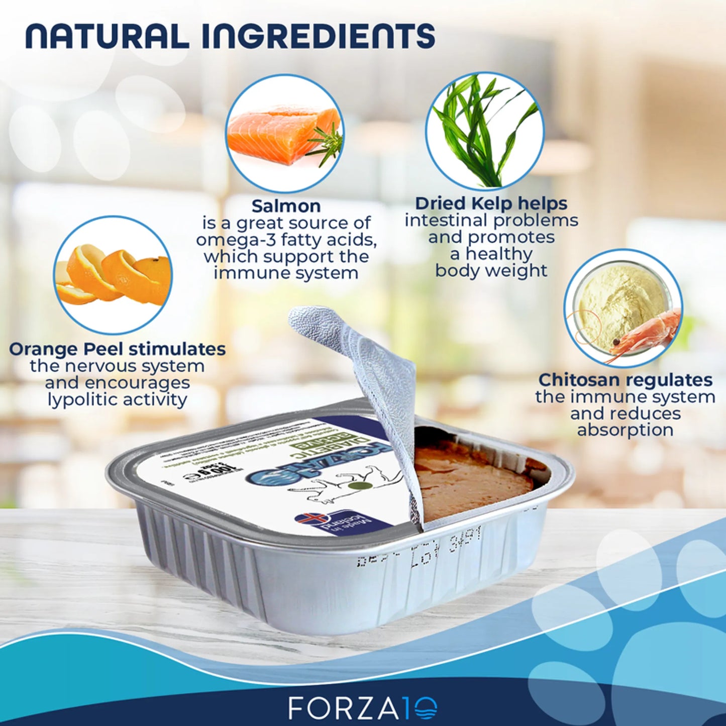 Forza10 ActiWet Diabetic Support Icelandic Fish Recipe Canned Cat Food - Supports Therapy of Insulin-Dependent Diabetes