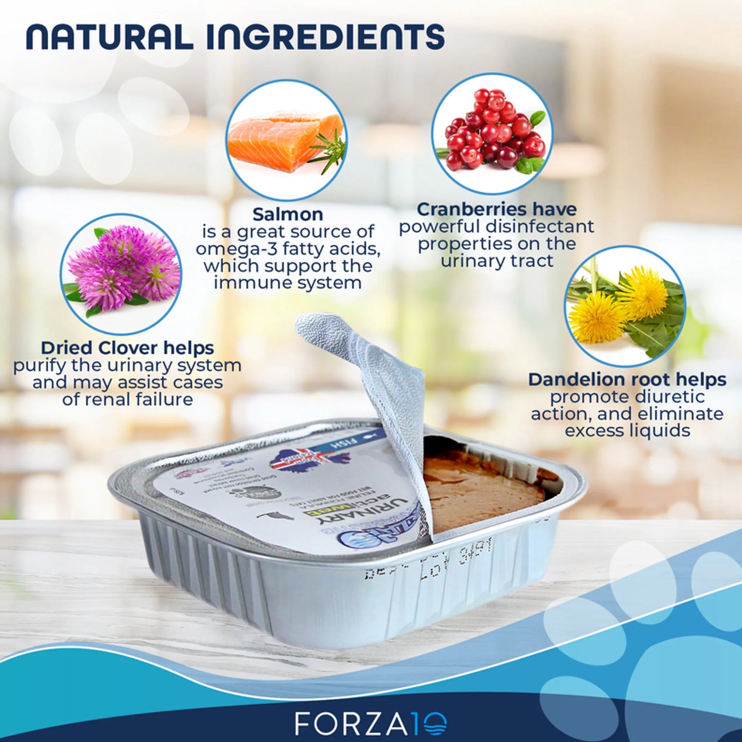 Forza10 Actiwet Urinary Support Icelandic Fish Recipe Canned Cat Food - Supports Urinary Tract Health