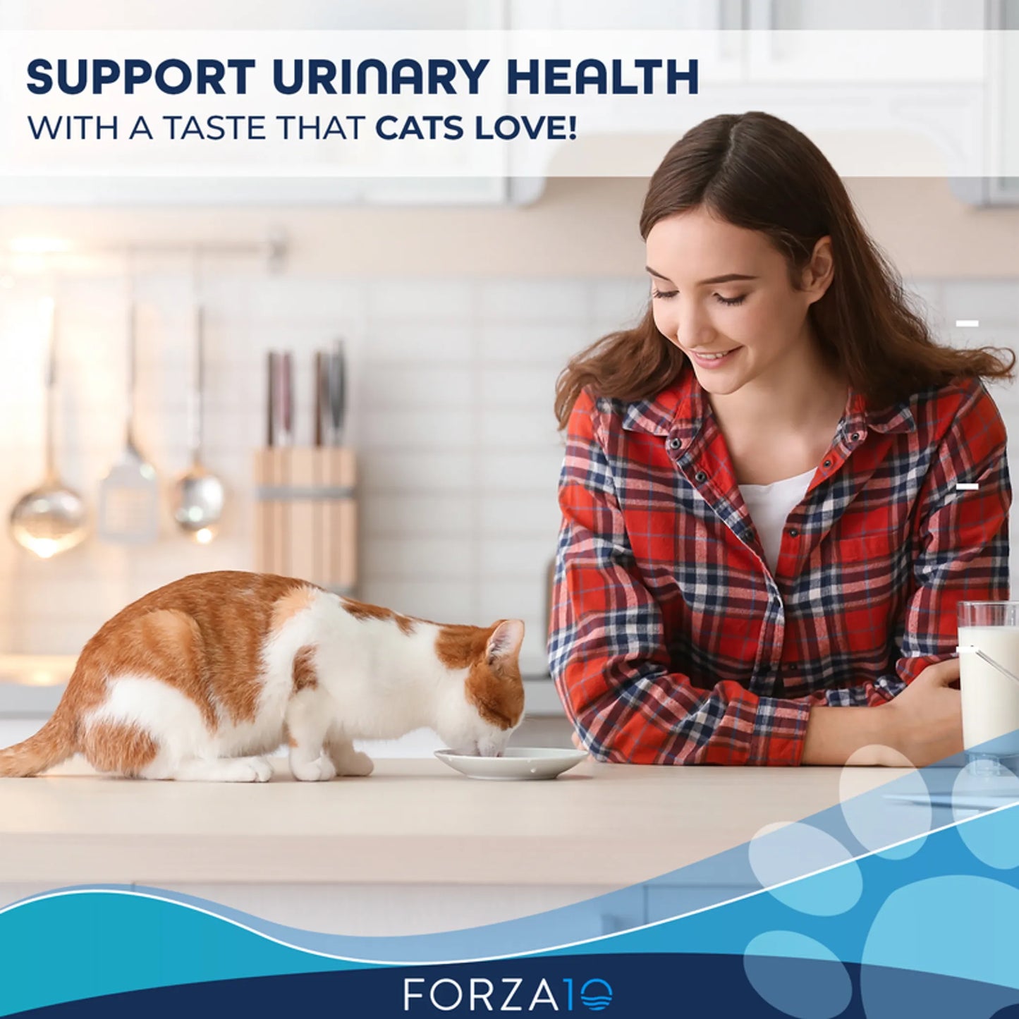 Forza10 Active Urinary Dry Cat Food - Supports Urinary Tract Health