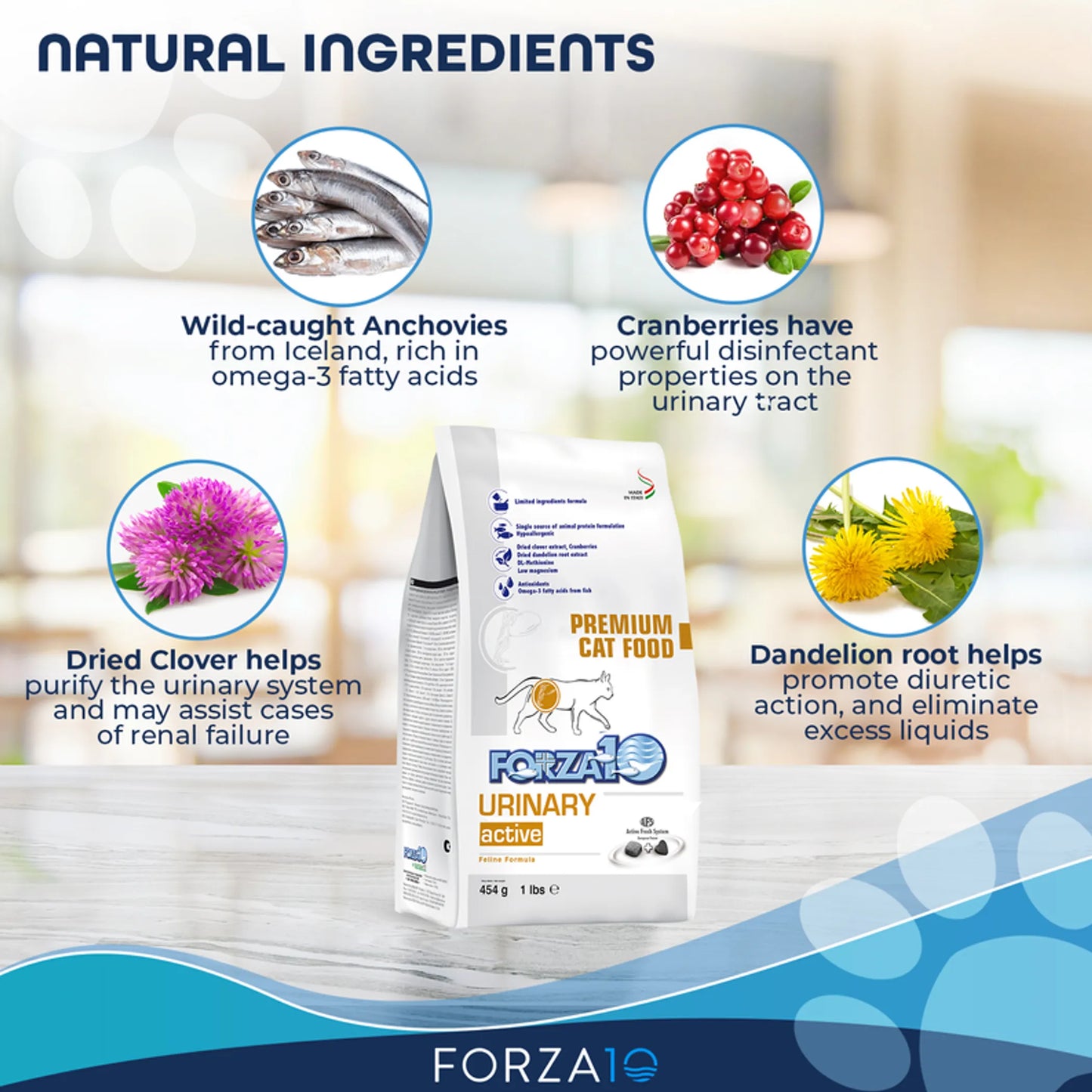 Forza10 Active Urinary Dry Cat Food - Supports Urinary Tract Health