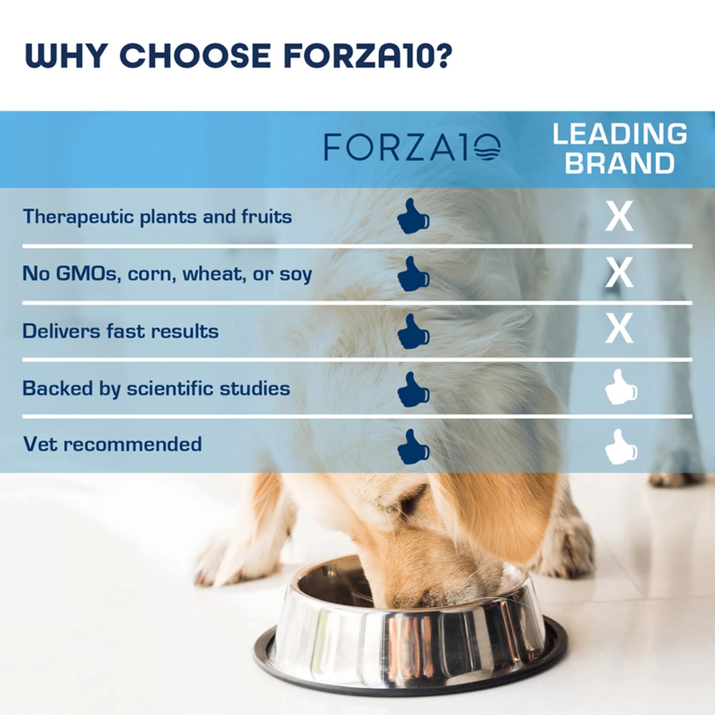 Forza10 Legend Skin Grain-Free Dry Dog Food - Skin Health Recipe
