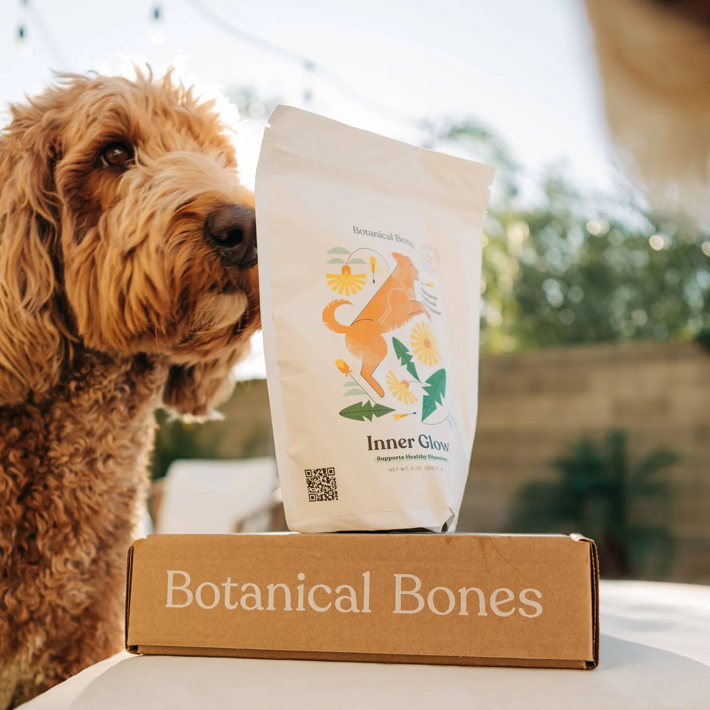 Bulk Superfood Dog Treats - Healthy & Delicious