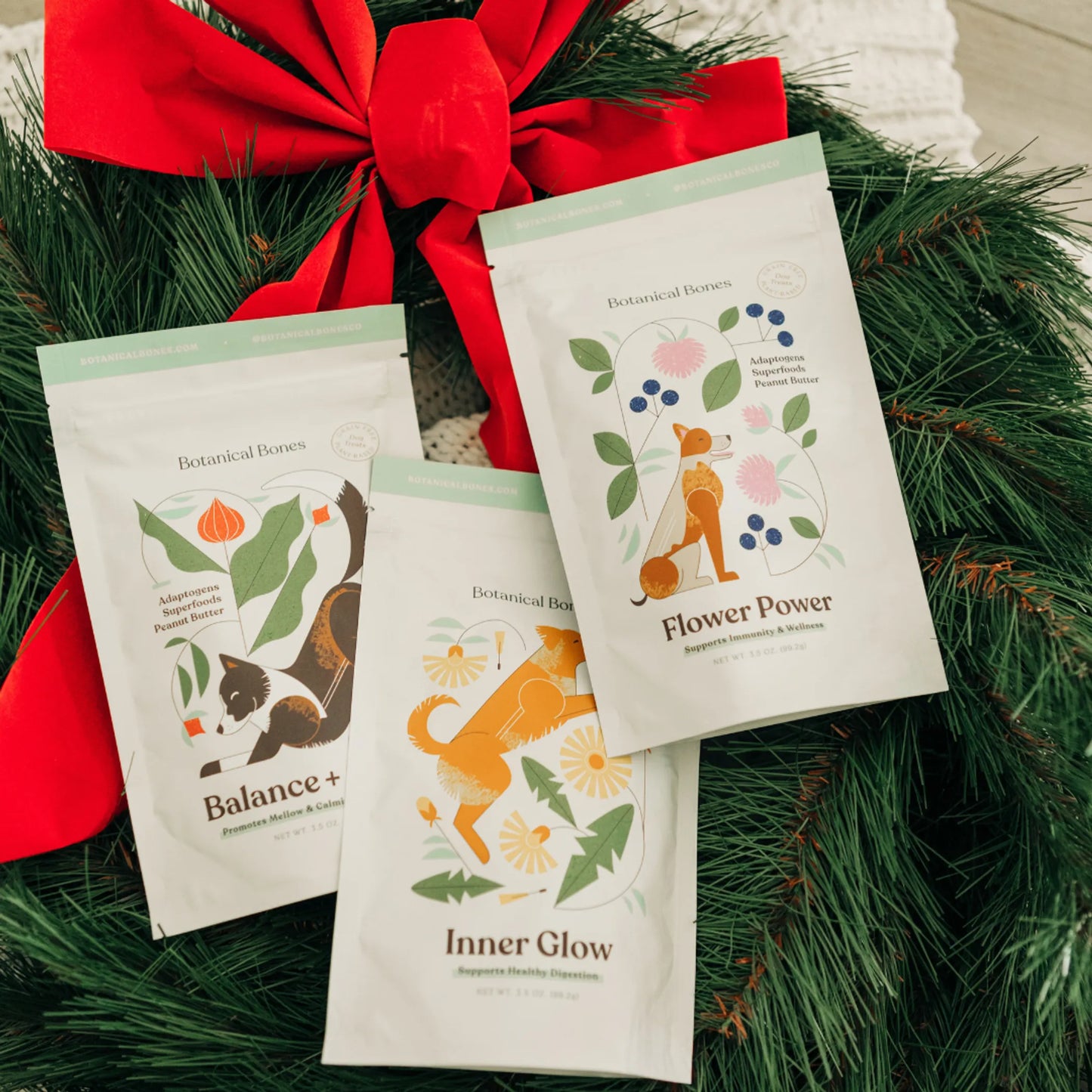 Pawliday Treat Bundle - Limited Edition & Gift-Ready