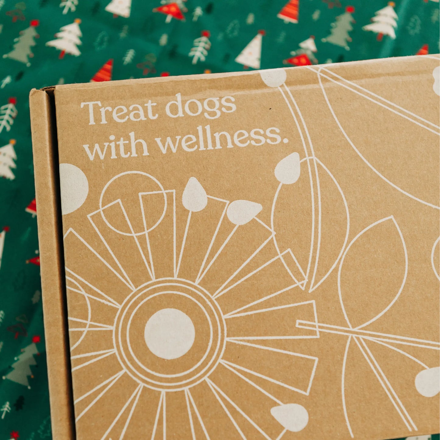 Pawliday Treat Bundle - Limited Edition & Gift-Ready