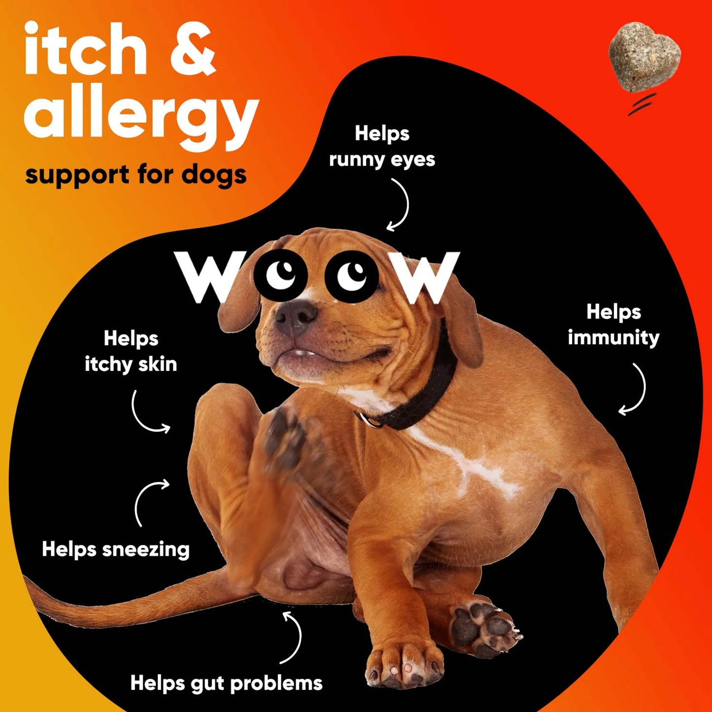 Dr. Woow Allergy and Immunity Support Soft Chews for Dogs
