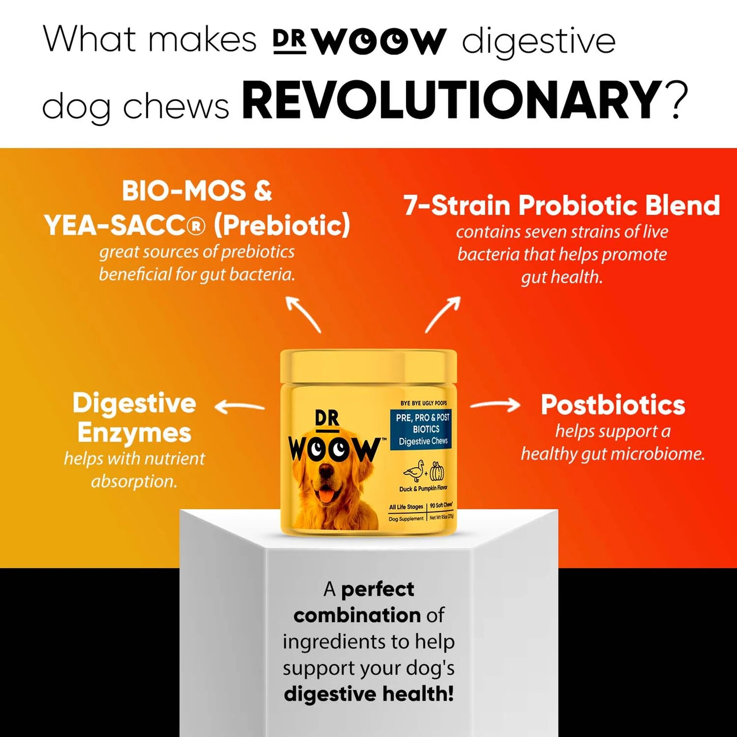 Dr. Woow Digestion Support Soft Chews for Dogs