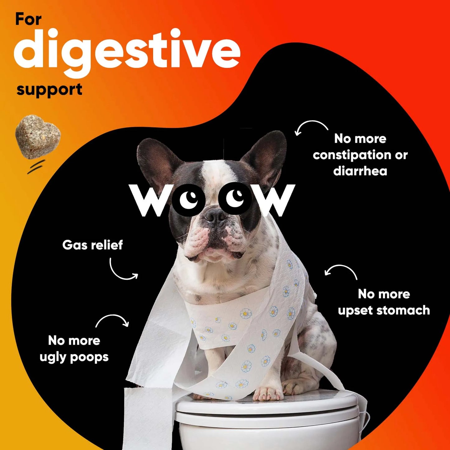 Dr. Woow Digestion Support Soft Chews for Dogs