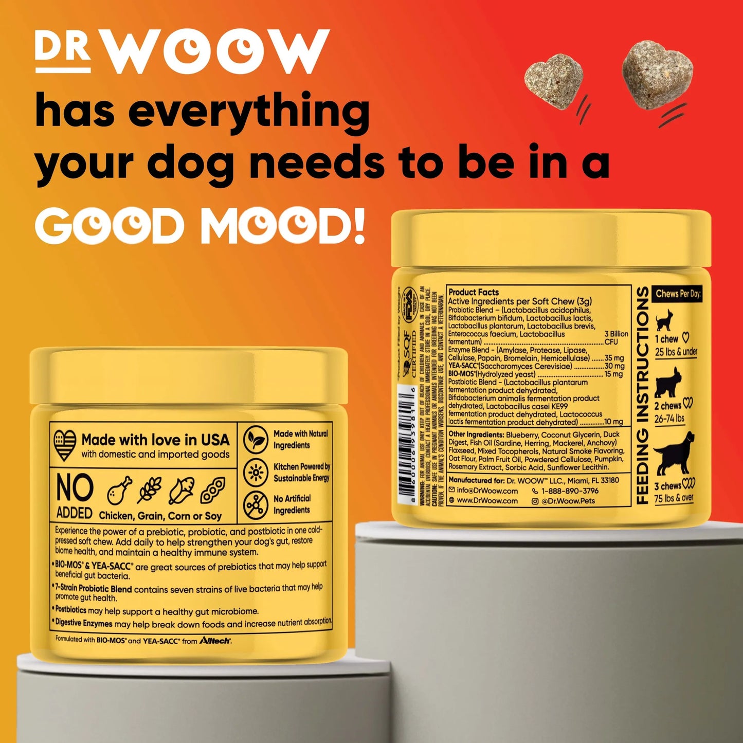 Dr. Woow Digestion Support Soft Chews for Dogs