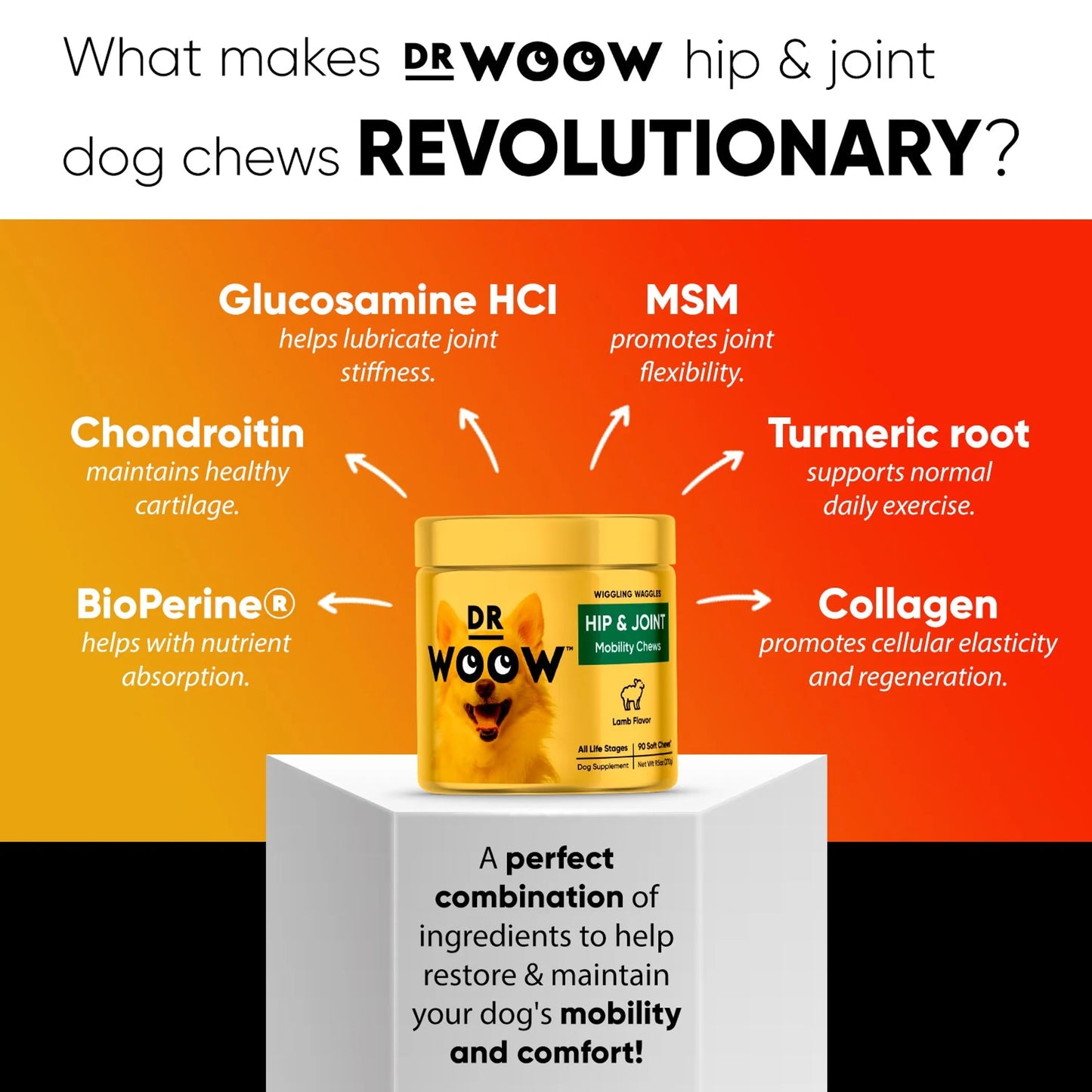 Dr. Woow Hip and Joint Support Soft Chews for Dogs