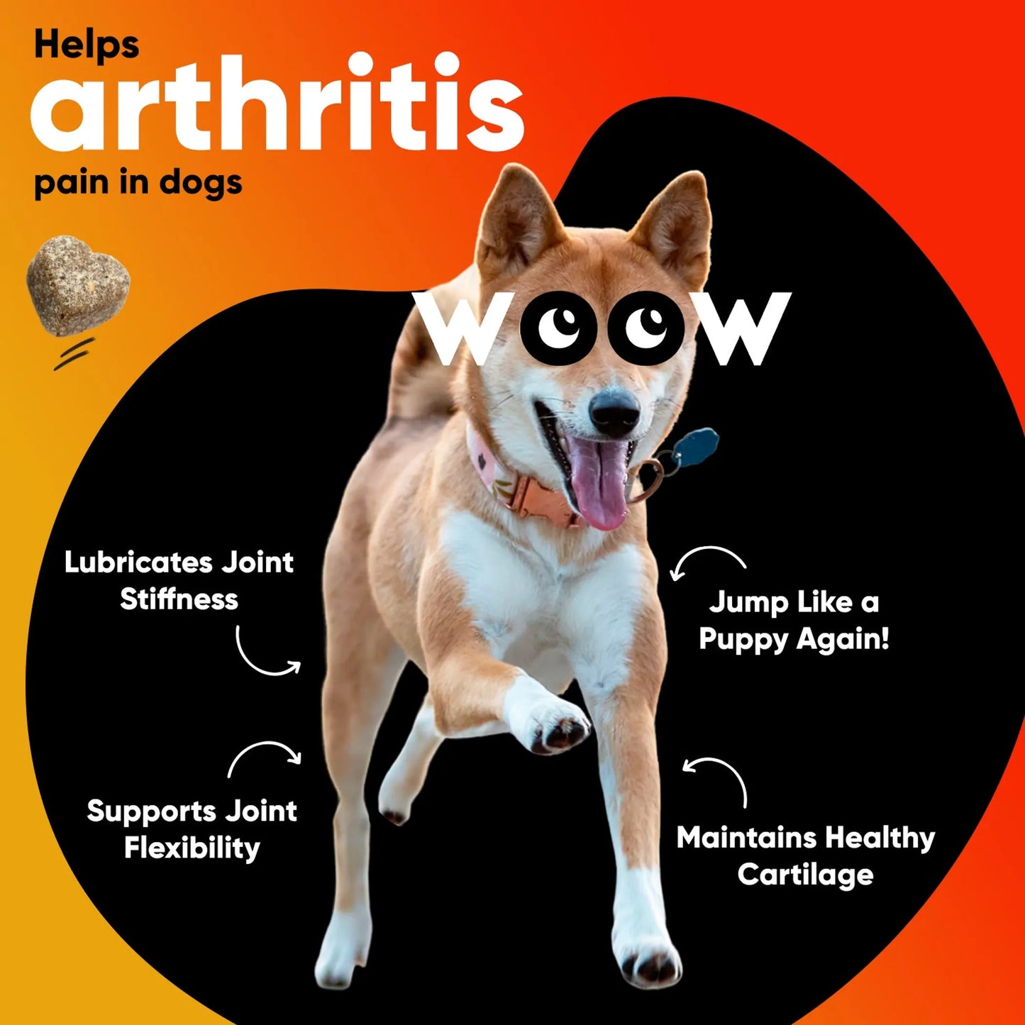 Dr. Woow Hip and Joint Support Soft Chews for Dogs