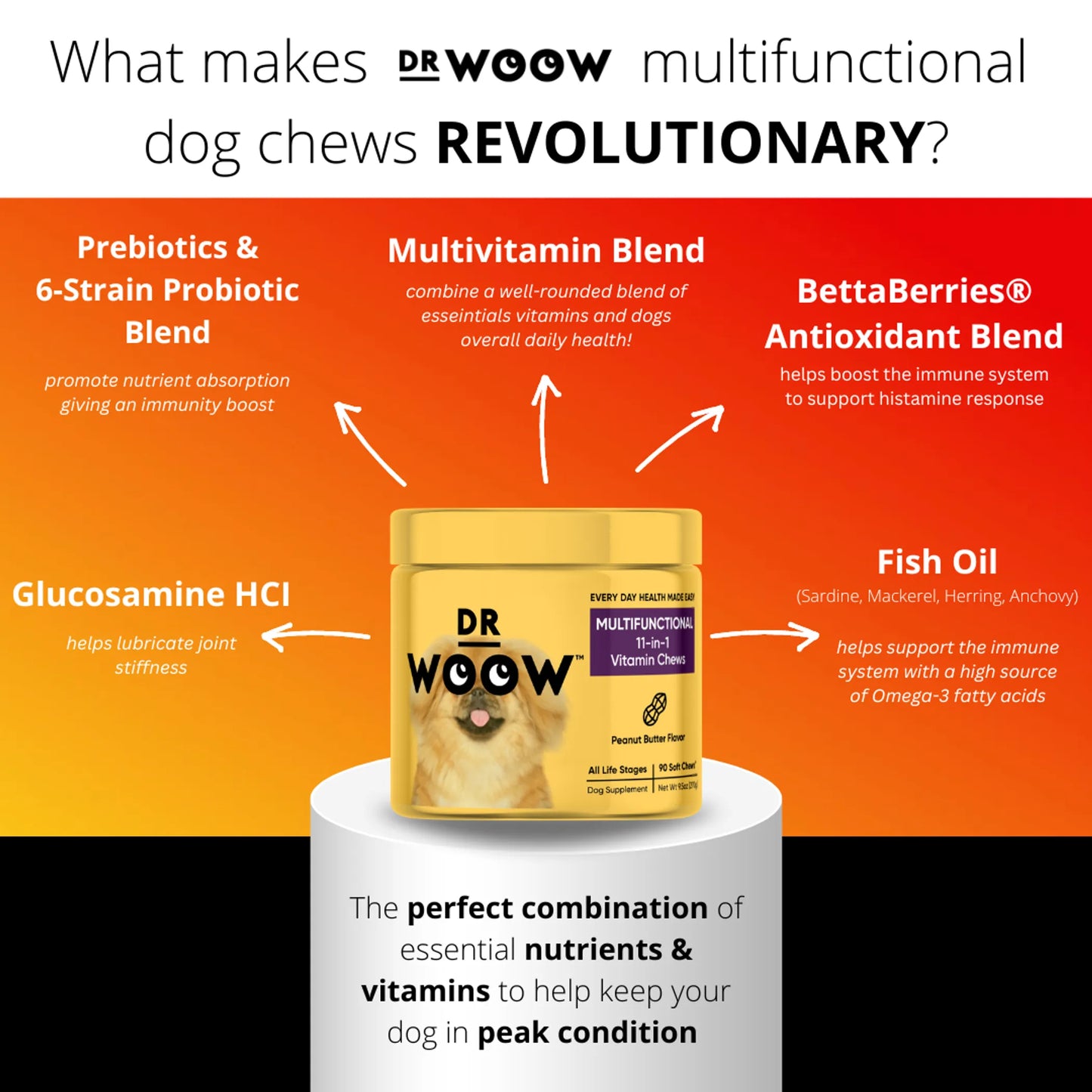 Dr. Woow Multifunctional 11-in-1 Vitamin Chews for Pets