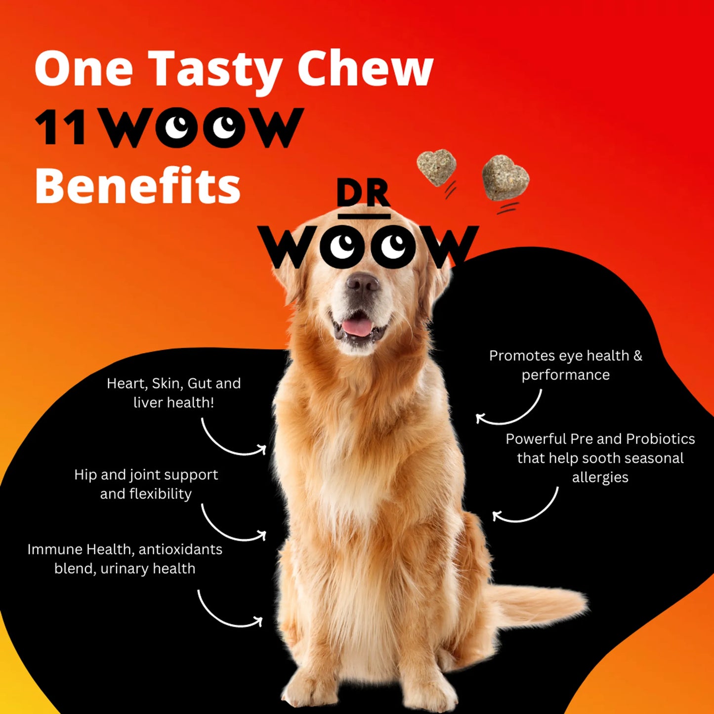 Dr. Woow Multifunctional 11-in-1 Vitamin Chews for Pets