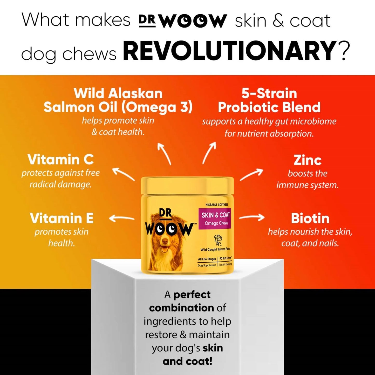 Dr. Woow Skin and Coat Support Soft Chews for Dogs