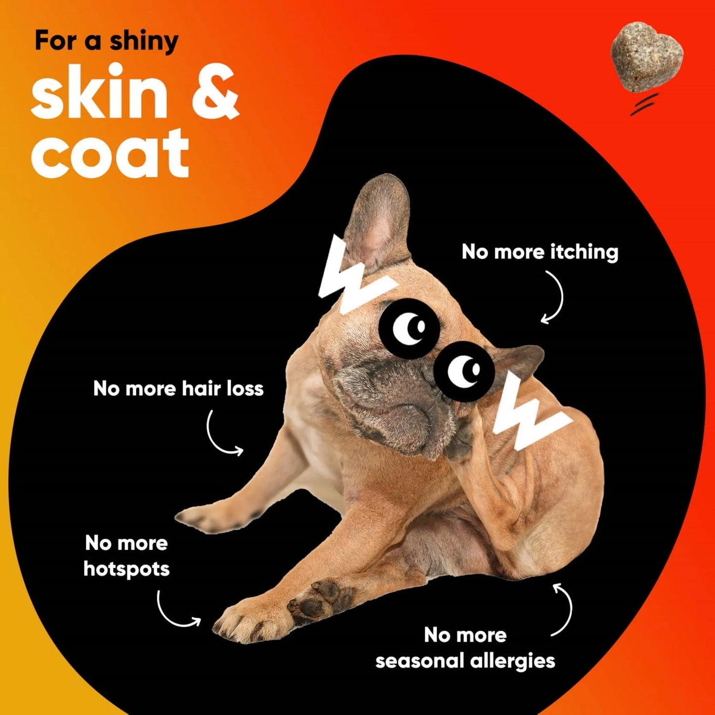 Dr. Woow Skin and Coat Support Soft Chews for Dogs