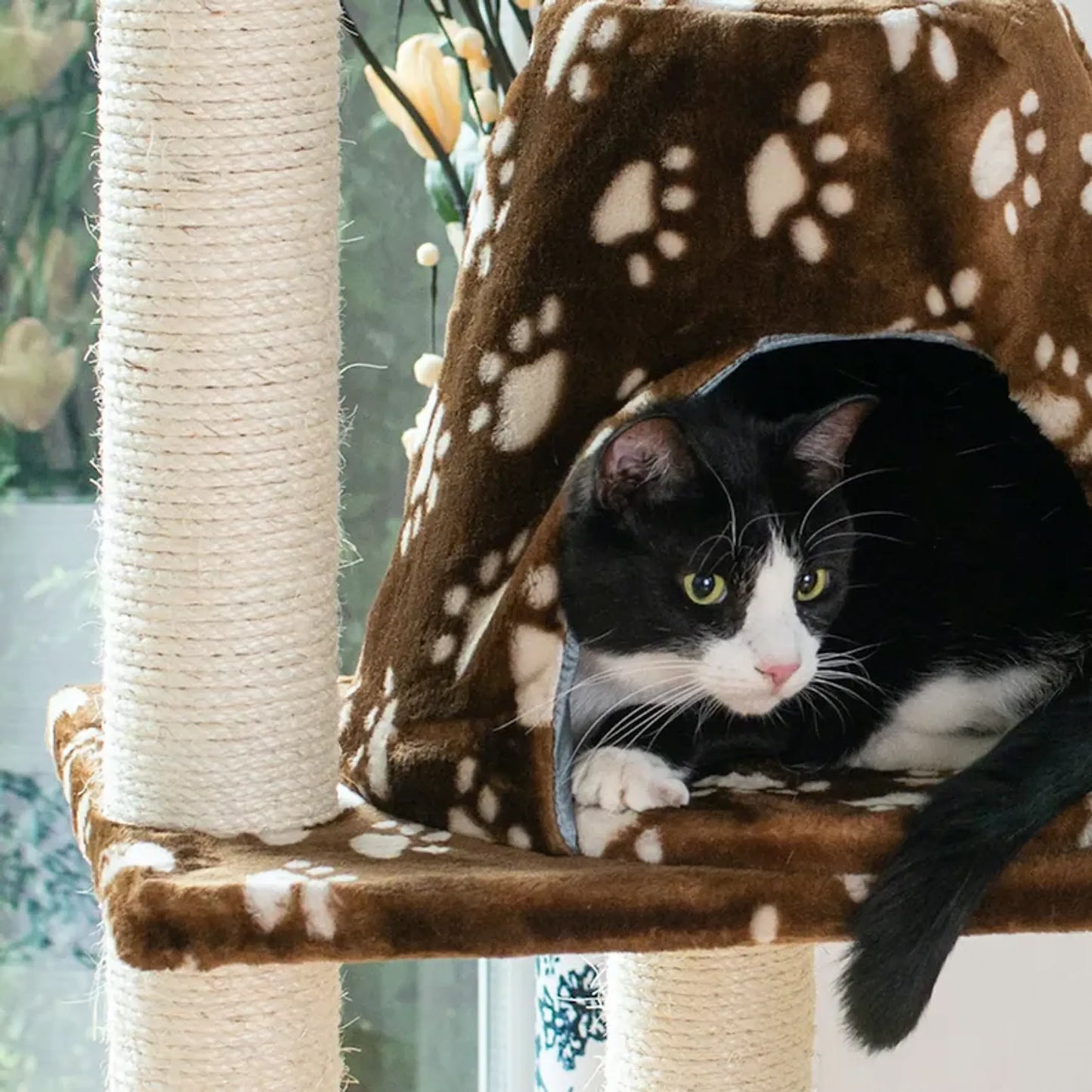 Armarkat Cat Tree Hammock Bed - Ultimate Rest & Play Station for Cats